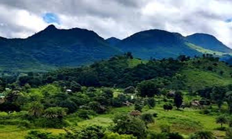 The greenery of Bhubaneswar has disappeared ।। କୁଆଡେ଼ ଗଲା ଭୁବନେଶ୍ୱରର ତୋଟା ଓ ସବୁଜ ବନାନୀ?