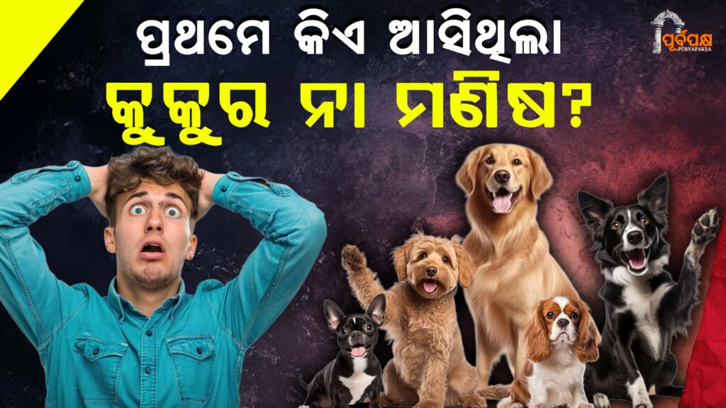 Who came to Earth first, dogs or humans? Have humans really taken over the dog’s habitat? ।। ପୃଥିବୀକୁ ପ୍ରଥମେ କିଏ ଆସିଥିଲା କୁକୁର ନା ମଣିଷ, କ’ଣ ସତରେ ମଣିଷ,କୁକୁରଙ୍କ ବାସସ୍ଥାନ ଉପରେ କରିଛି କବଜା ?