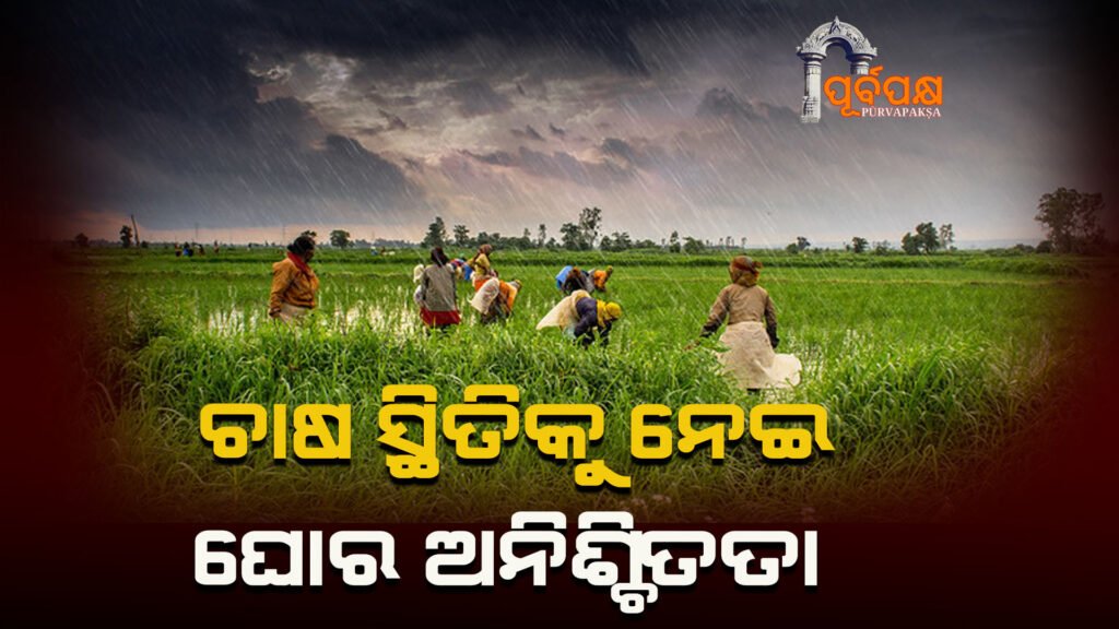 Extreme uncertainty over the state of agriculture ।। ଚାଷ ସ୍ଥିତିକୁ ନେଇ ଘୋର ଅନିଶ୍ଚିତତା