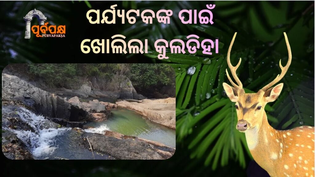 Kuldiha Wildlife Sanctuary opens for tourists ।। ପର୍ଯ୍ୟଟକଙ୍କ ପାଇଁ ଖୋଲିଲା କୁଲଡିହା ବନ୍ୟପ୍ରାଣୀ ଅଭୟାରଣ୍ୟ