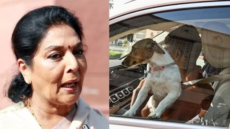 Renuka brought a dog to Parliament, investigation underway; sources || ରେଣୁକା ସଂସଦକୁ କୁକୁର ଆଣିଥିଲେ, ତଦନ୍ତ କରାଯାଉଛି;ସୂତ୍ର