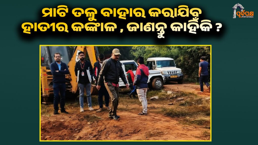Odisha Forest Department digs up skeletons of Chandka elephant Ramur for conservation ।। ବୈଜ୍ଞାନିକ ସଂରକ୍ଷଣ ପାଇଁ ଚନ୍ଦକା ହାତୀ ରାମୁର କଙ୍କାଳ ଖୋଳିବ ଓଡ଼ିଶା ବନ ବିଭାଗ