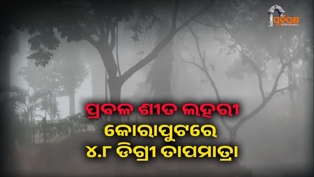 Odisha hit by severe cold wave, dense fog ।। ପ୍ରବଳ ଶୀତ ଲହରୀ, ଘନ କୁହୁଡ଼ି କବଳିତ ଓଡ଼ିଶା; କୋରାପୁଟରେ ୪.୮ ଡିଗ୍ରୀ ତାପମାତ୍ରା, ହଳଦିଆ ସତର୍କତା ଜାରି କଲା ଆଇଏମଡି