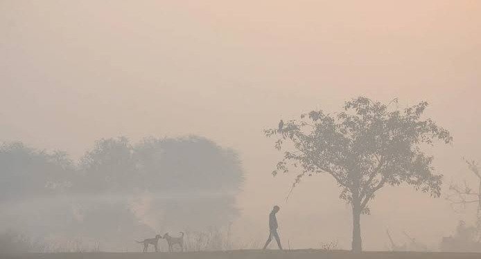 Temperatures have increased in Odisha as winter eases || ଓଡ଼ିଶାରେ ଶୀତ କମିବା ସହ ତାପମାତ୍ରା ବୃଦ୍ଧି ପାଇଛି