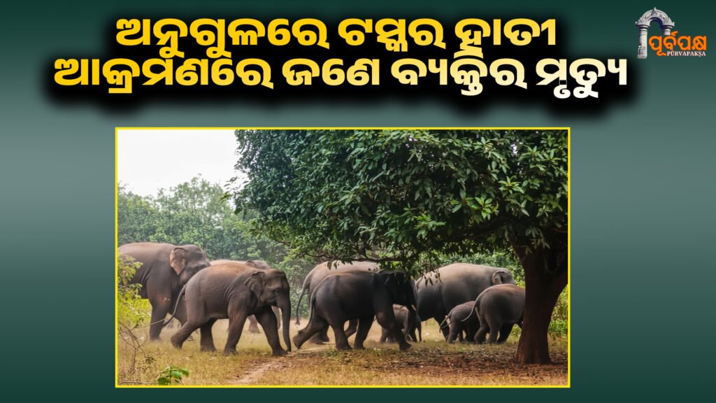One person dead in tusker elephant attack in Odisha ।। ଓଡ଼ିଶାର ଅନୁଗୁଳରେ ଟସ୍କର ହାତୀ ଆକ୍ରମଣରେ ଜଣେ ବ୍ୟକ୍ତିର ମୃତ୍ୟୁ, ୪୮ ଘଣ୍ଟା ମଧ୍ୟରେ ଦ୍ୱିତୀୟ ହାତୀ ଆକ୍ରମଣ