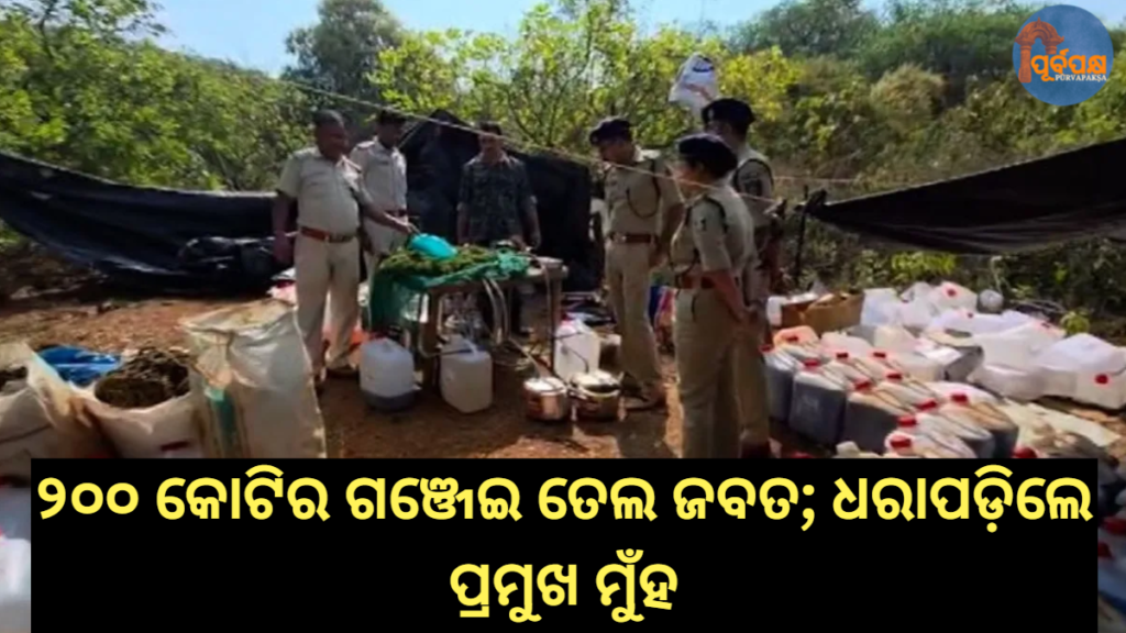 ୨୦୦ କୋଟିର ଗଞ୍ଜେଇ ତେଲ ଜବତ; ଧରାପଡ଼ିଲେ ପ୍ରମୁଖ ମୁଁହ || Ganja oil worth Rs 200 crore seized; key accused caught