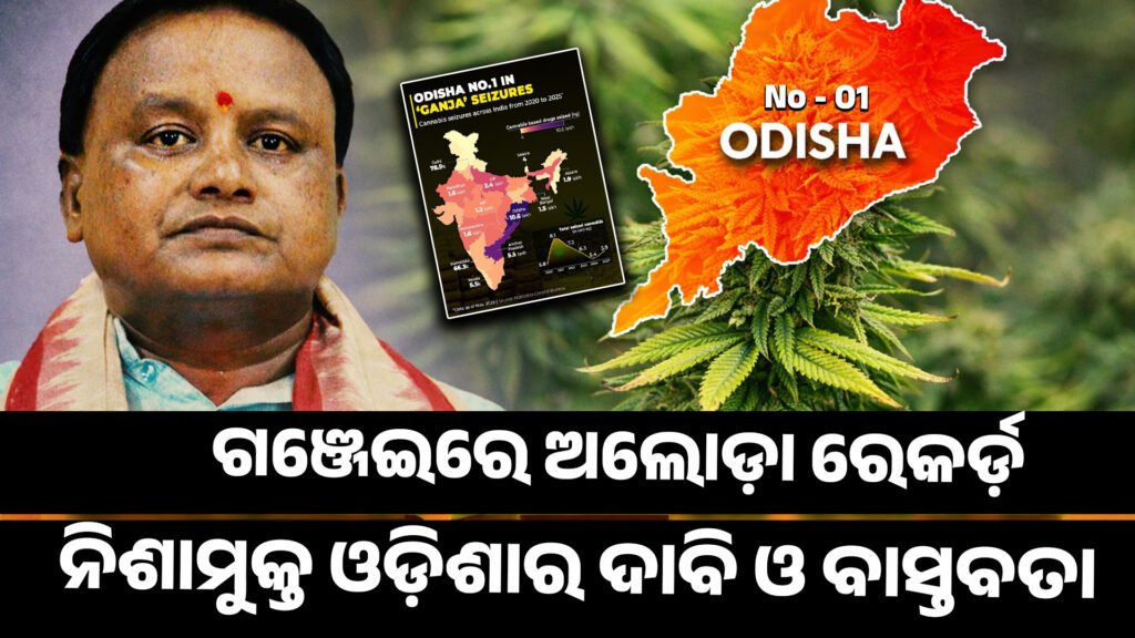 ଗଞ୍ଜେଇରେ ଅଲୋଡ଼ା ରେକର୍ଡ଼: ନିଶାମୁକ୍ତ ଓଡ଼ିଶାର ଦାବି ଓ ବାସ୍ତବତା ।। ganja smuggling