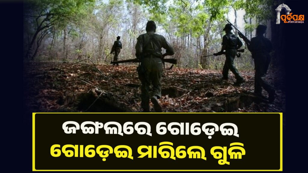 ଜଙ୍ଗଲରେ ଗୁଳିବିନିମୟ, ୨ ମାଓବାଦୀ ନିପାତ ।। Maoist Encounter