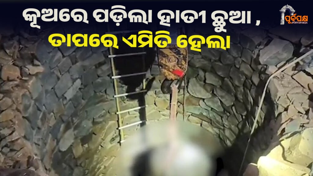 କୂଅରେ ପଡ଼ିଲା ହାତୀ ଛୁଆ , ତାପରେ ଏମିତି ହେଲା ।। Human Wildlife Conflict