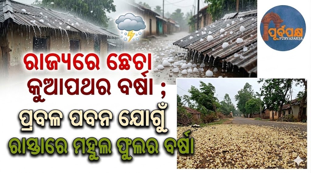 ରାଜ୍ୟରେ ଛେଚା କୁଆପଥର ବର୍ଷା ; ପ୍ରବଳ ପବନ ଯୋଗୁଁ ରାସ୍ତାରେ ମହୁଲ ଫୁଲର ବର୍ଷା || Hailstorm hits the state; strong winds cause hailstones to fall on the roads