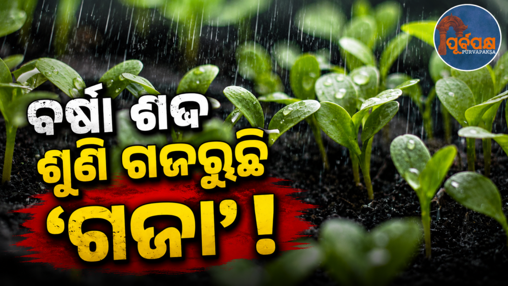 ପ୍ରକୃତିର ବିଜ୍ଞାନ ଅନନ୍ୟ ! ବର୍ଷାର ଶବ୍ଦ ଶୁଣି ବଢ଼ିବା ଆରମ୍ଭ କରେ ବିହନରୁ ଗଜା ! || The science of nature is unique! Hearing the sound of rain, the seed begins to grow!