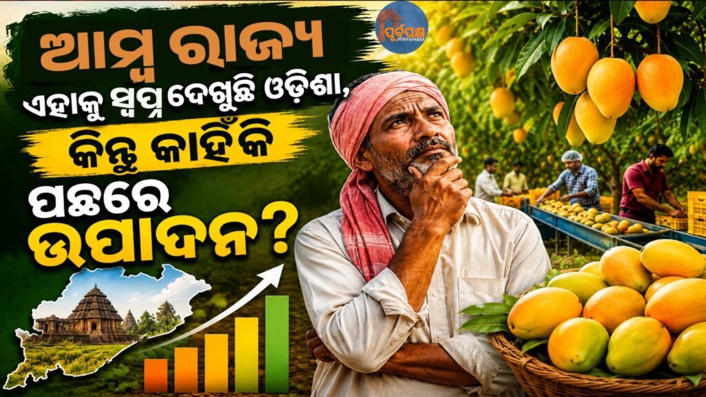 ଓଡ଼ିଶାରେ ଆମ୍ବ ଚାଷ: ସମ୍ଭାବନା ଓ ସଂଘର୍ଷ || Mango cultivation in Odisha: Opportunities and struggles