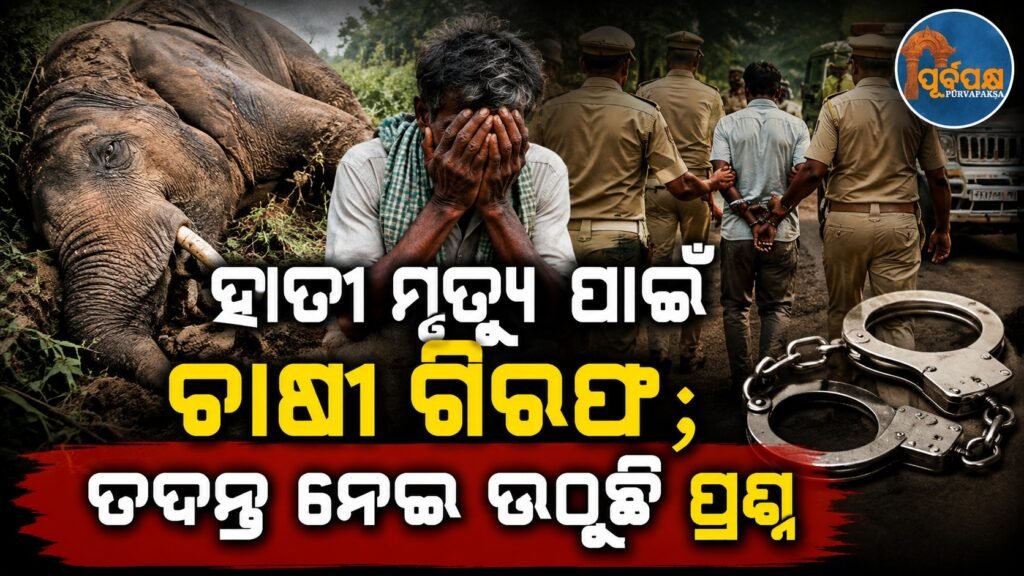 ହାତୀ ମୃତ୍ୟୁ ପାଇଁ ଚାଷୀ ଗିରଫ; ତଦନ୍ତ ନେଇ ଉଠୁଛି ପ୍ରଶ୍ନ || Farmer arrested for elephant death; questions raised over investigation