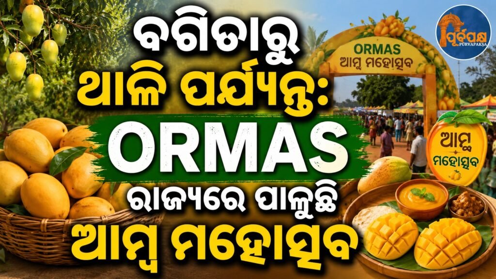 ବଗିଚାରୁ ଥାଳି ପର୍ଯ୍ୟନ୍ତ: ORMAS ରାଜ୍ୟରେ ପାଳୁଛି ଆମ୍ବ ମହୋତ୍ସବ || From garden to plate: Mango festival celebrated in ORMAS state
