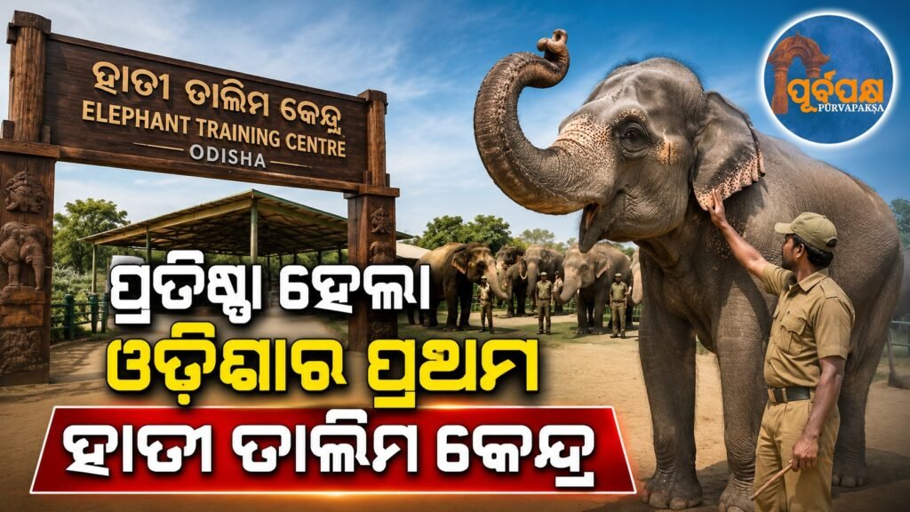 କଳାହାଣ୍ଡିରେ ଓଡିଶାର ପ୍ରଥମ ହାତୀ ତାଲିମ କେନ୍ଦ୍ର ପ୍ରତିଷ୍ଠା || Odisha’s first elephant training center established in Kalahandi