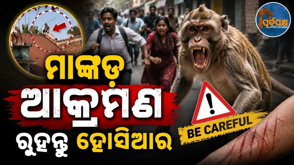 ରୁହନ୍ତୁ ହୋସିଆର ମାଙ୍କଡ଼ କରୁଛି ଆକ୍ରମଣ; ୧୦ ଆହତ || Monkeys attack in Hosier; 10 injured