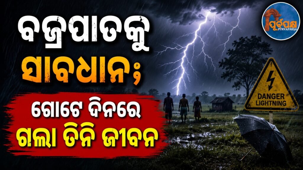 ବଜ୍ରପାତକୁ ସାବଧାନ; ଗୋଟେ ଦିନରେ ଗଲା ତିନି ଜୀବନ || Beware of lightning; three lives lost in one day