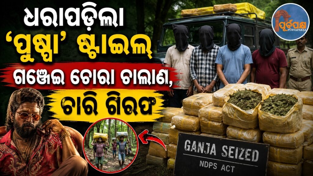 ଧରାପଡ଼ିଲା ‘ପୁଷ୍ପା’ ଷ୍ଟାଇଲ୍ ଗଞ୍ଜେଇ ଚୋରା ଚାଲାଣ, ଚାରି ଗିରଫ || ‘Pushpa’ style ganja smuggling busted, four arrested