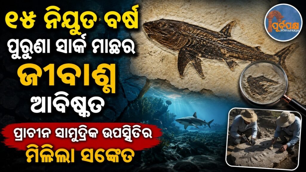 ୧୫ ନିୟୁତ ବର୍ଷ ପୁରୁଣା ସାର୍କ ମାଛର ଜୀବାଶ୍ମ ଆବିଷ୍କୃତ, ପ୍ରାଚୀନ ସାମୁଦ୍ରିକ ଉପସ୍ଥିତିର ସଙ୍କେତ || 15 million-year-old shark fossil discovered, evidence of ancient marine presence