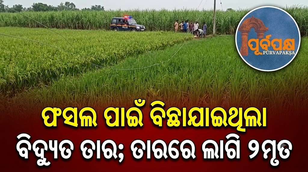 ଫସଲ ପାଇଁ ବିଛାଯାଇଥିଲା ବିଦ୍ୟୁତ ତାର; ତାରରେ ଲାଗି ୨ମୃତ || Electric wires were laid for crops; 2 died after getting caught in wires