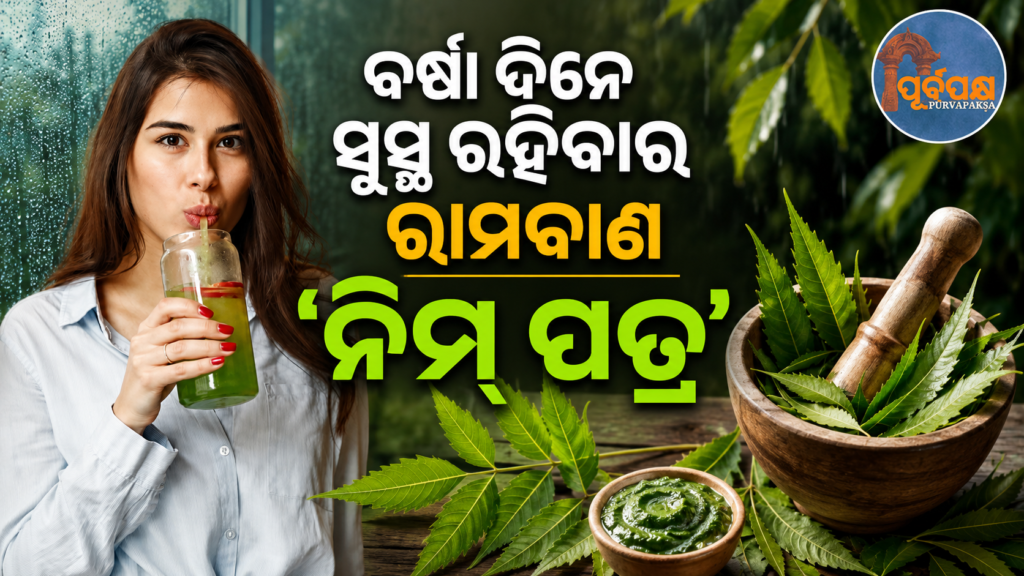 ବର୍ଷା ଦିନେ ସଂକ୍ରମଣକୁ ତୁରନ୍ତ ରୋକିବ ‘ନିମ୍ବ ପତ୍ର’ : ଜାଣନ୍ତୁ ମୌସୁମୀ ଋତୁରେ ଏହାକୁ ଖାଇବାର ଚମତ୍କାରୀ ସ୍ୱାସ୍ଥ୍ୟ ଉପକାରିତା || If you frequently catch a cold during the rainy season, Neem can protect you from infections; learn about its benefits.