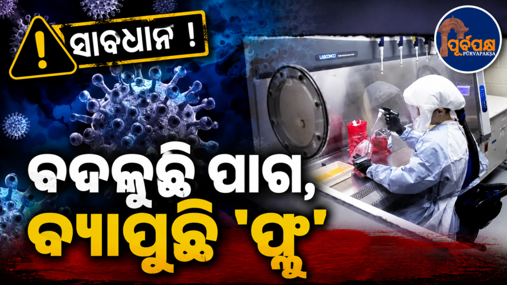ମାନବ କୋଷିକାକୁ କିଭଳି ନିଜ ନିୟନ୍ତ୍ରଣକୁ ନିଏ ଫ୍ଲୁ ଭୂତାଣୁ? ନୂତନ ଗବେଷଣାରୁ ଜଟିଳ ଜୈବିକ ପ୍ରକ୍ରିୟାର ପରଦାଫାଶ || How does the flu virus take control of human cells? New research reveals complex biological process