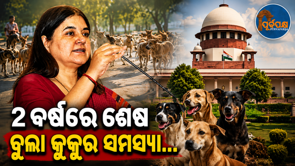 ଠିକ୍ ଭାବେ ଏବିସି (ABC) କାର୍ଯ୍ୟକ୍ରମ ଲାଗୁ ହେଲେ ୨ ବର୍ଷରେ ଶେଷ ହେବ ବୁଲା କୁକୁର ସମସ୍ୟା: ମେନକା ଗାନ୍ଧୀ || Stray dog problem will end in 2 years if ABC program is implemented properly: Maneka Gandhi