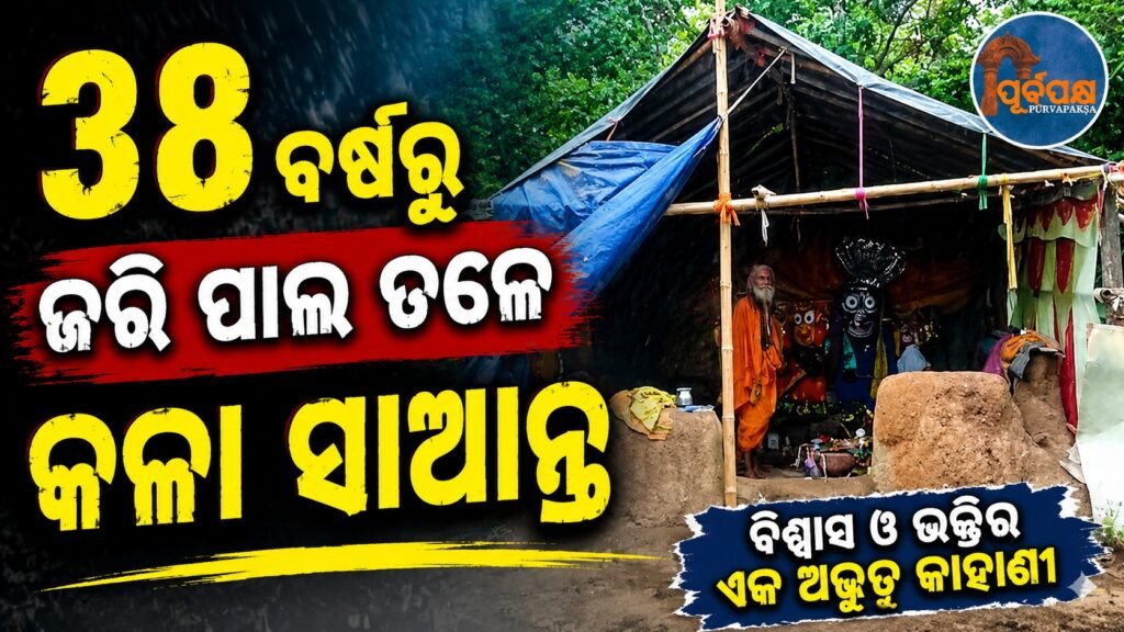 38ବର୍ଷରୁ ଜରି ପାଲ ତଳେ ଆଶ୍ରୟ ନେଇଛି କଳା ସାଆନ୍ତ || Kala Saanta has been taking shelter under the protection of Jari Pal for 38 years.