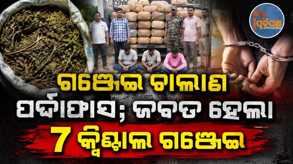 ଗଞ୍ଜେଇ ଚାଲାଣ ପର୍ଦ୍ଦାଫାସ; ଜବତ ହେଲା ୭ କ୍ୱିଣ୍ଟାଲ ଗଞ୍ଜେଇ || Marijuana smuggling busted; 7 quintals of marijuana seized