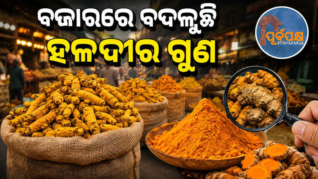ବଜାରକୁ ଆସୁ ଆସୁ ବିଷାକ୍ତ ହେଉଛି ହଳଦୀ; ପ୍ରକ୍ରିୟାକରଣ ଓ ଭେଜାଲ ଯୋଗୁଁ ବଢ଼ୁଛି ସୀସା (Lead) ବିପଦ || Turmeric is becoming toxic as it enters the market; Lead risk increases due to processing and packaging