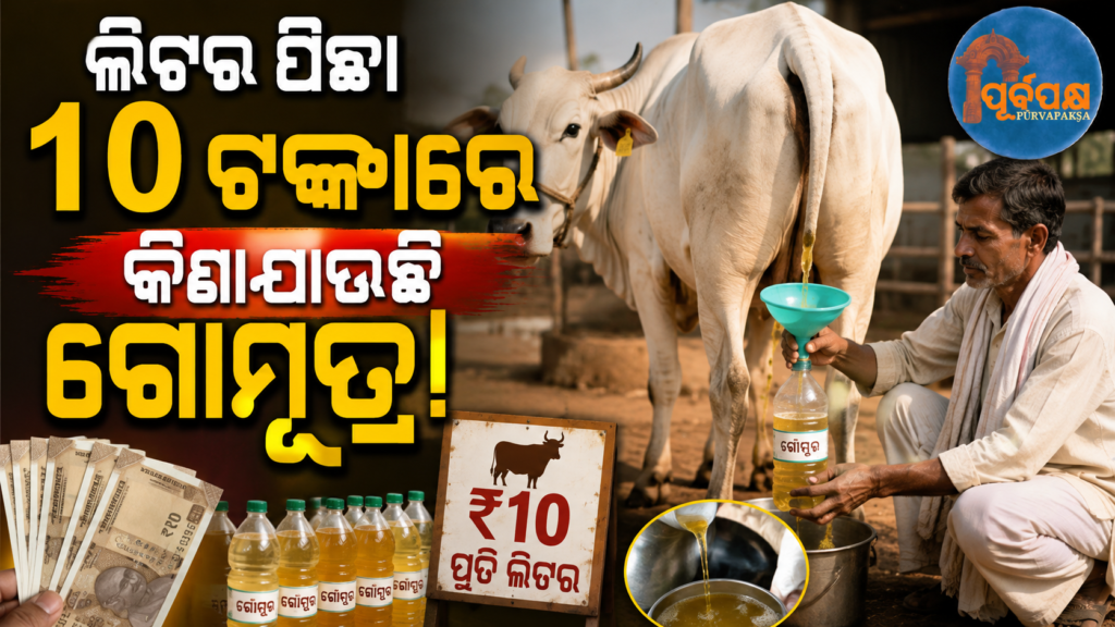 ବୁଲନ୍ଦଶହରରେ ଲିଟର ପିଛା ₹୧୦ରେ କିଣାଯାଉଛି ଗୋମୂତ୍ର! FPOର ନୂଆ ପ୍ରୟାସକୁ ନେଇ ଚର୍ଚ୍ଚା || Cow Urine to Be Purchased at ₹10 Per Litre || Gomutra for Income