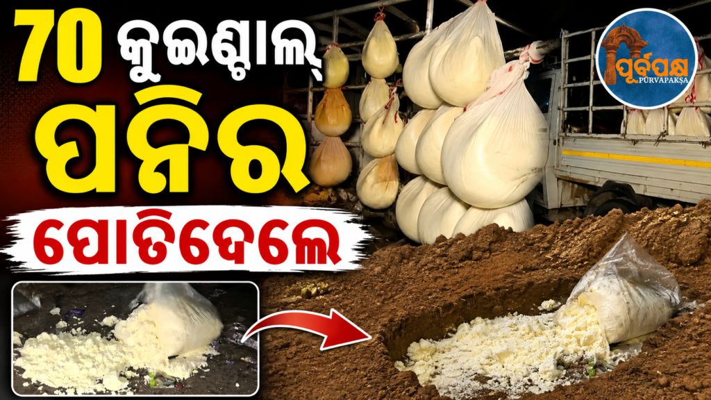 କଟକରେ ନକଲି ପନିର କାରବାର ଉପରେ ପ୍ରଶାସନର ମାଡ଼: ୧୭ ଲକ୍ଷ ଟଙ୍କାର ୭୦ କୁଇଣ୍ଟାଲ୍ ଅପମିଶ୍ରିତ ପନିର ଜବତ ପରେ ନଷ୍ଟ || 70 quintals of unadulterated cheese worth Rs 17 lakh seized and destroyed in Cuttack