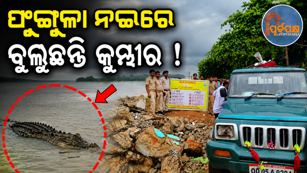 ବନ୍ୟା ବିପର୍ଯ୍ୟୟରେ ଜଳମଗ୍ନ ଗାଁ ଓ ଚାଷଜମିରେ ବୁଲୁଛନ୍ତି ହିଂସ୍ର କୁମ୍ଭୀର, ବନ ବିଭାଗ ପକ୍ଷରୁ ସଚେତନତା ଓ ଉଦ୍ଧାର ଅଭିଯାନ ଆରମ୍ଭ || Ferocious crocodiles roam flooded villages and farmlands, Forest Department launches awareness and rescue campaign