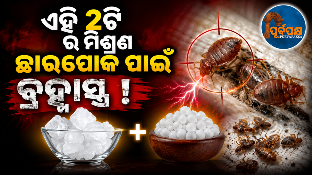 ଛାରପୋକ ସମସ୍ୟାରୁ ମିଳିବ ମୁକ୍ତି: କେବଳ ୨ଟି ଘରୋଇ ସାମଗ୍ରୀରେ ପ୍ରସ୍ତୁତ କରନ୍ତୁ ‘ଯୋଗଗୁରୁ କୈଳାଶ ବିଷ୍ଣୋଇ’ଙ୍କ ଦେଶୀ ଫର୍ମୁଲା || Get rid of the problem of worms: Prepare ‘Yogaguru Kailash Bishnoi’s’ native formula with just 2 household ingredients