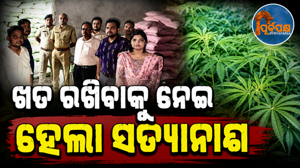 ଗଞ୍ଜେଇ ଚାଷ ପାଇଁ ଥିଲା ୩୫ ଟନ୍ ଡିଏପି ଖତ: ଅତର୍କିତ ଚଢ଼ାଉ କରି କନ୍ଧମାଳର ବାଲିଗୁଡ଼ାରେ ଗୋଦାମ ସିଲ୍ କଲା ପ୍ରଶାସନ || 35 tons of DP fertilizer for cannabis cultivation: Administration seals godown in Kandhamal’s Baliguda in a surprise raid